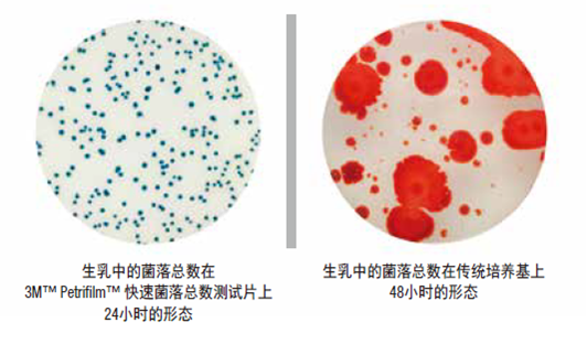 菌落總數